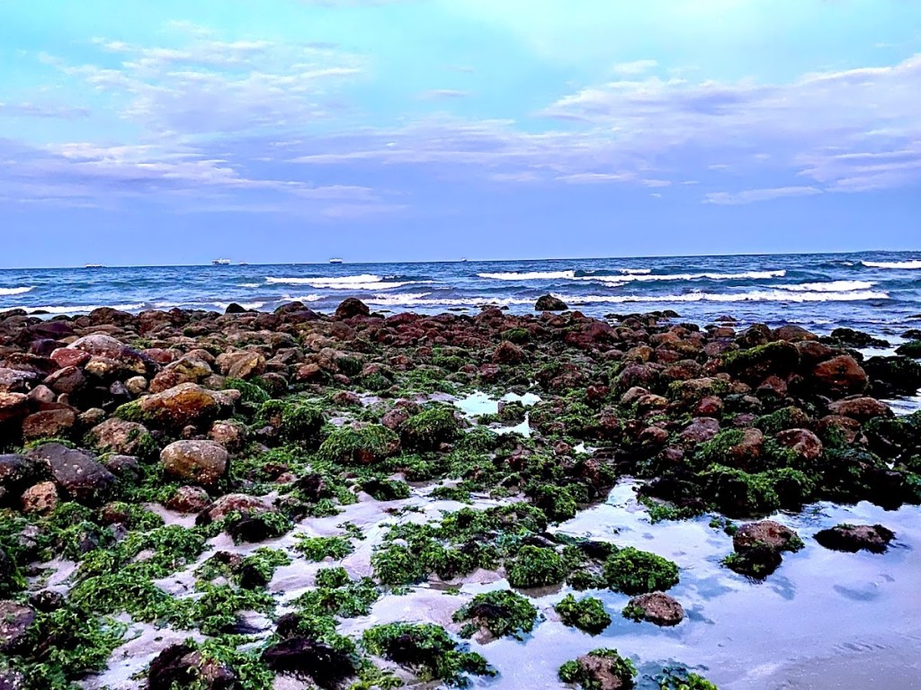 Crafting Your Living Legacy: Why and How to Shape Your Impact Today